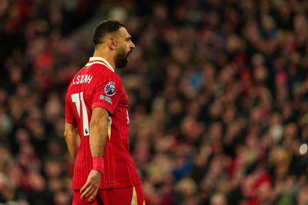 资的丰厚 资的丰厚